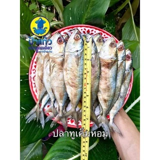 ปลาทูเค็มหอม ครึ่งกิโลกรัม ตัวใหญ่ ไม่เค็มมาก ครึ่งกิโลกรัม 5-6 ตัว