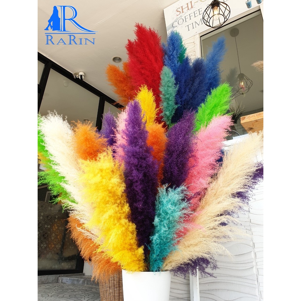 Rarin ดอกเลา ย้อมสี(หลากสี) 1ก้าน ‼️พร้อมส่ง‼️ขนาด 90-100 cm.ดอกรวมก้าน ดอกไม้ธรรมชาติ ดอกฟุ้งฟิ้ง ราคา ถูกที่สุด ดีลบีเคเค แกลเลอรีภาพที่ 3
