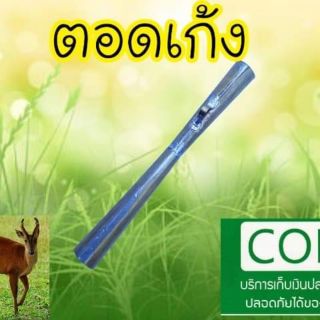 ตอดเก้ง,ตอดเป่าเรียกเก้ง,ที่เป่าเสียงเก้ง