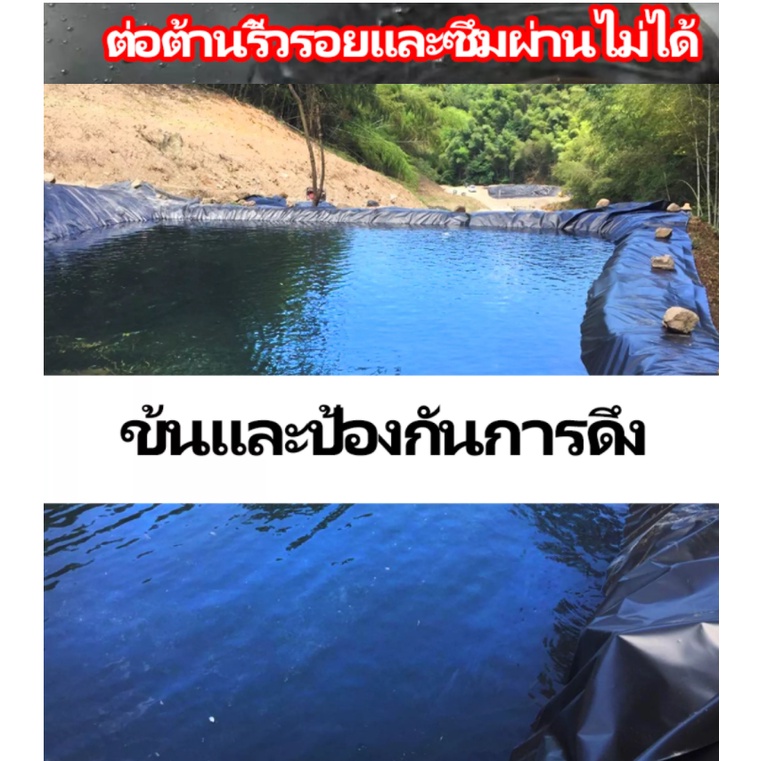 พลาสติกปูบ่อ ขนาด 2*2เมตร หนา 0.5มิล สีดำ ผ้ายางปูบ่อ ปูบ่อน้ำ ปูบ่อปลา สระน้ำ โรงเรือน พลาสติกโรงเรือน fish pond liner - รูปที่ 2
