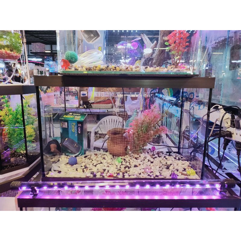 ส่งฟรีปฝแถมน้ำยาปรับสภาพ ตู้กระจก18และ 20นิ้ว ตู้โล่งและตู้ครบชุดพร้อมกรองในและไฟใต้น้ำ