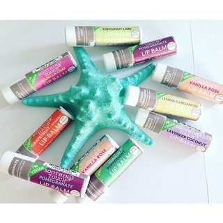 แท่งใหญ่สุดคุ้ม🇺🇸 Soothing Touch - Lip Balm ออร์แกนิคลิปบาล์ม