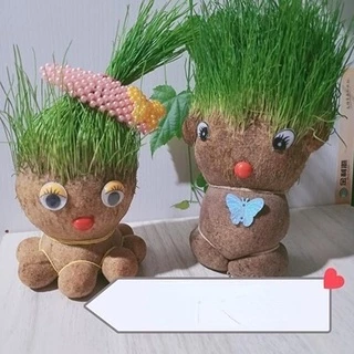 หญ้าแมว ตุ๊กตาหัวหญ้า ตุ๊กตาหญ้า grass head DIY กระถางสร้างสรรค์ ของขวัญ