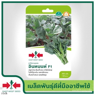 East West Seed เมล็ดพันธุ์คะน้า (Kale seeds) อินทนนท์ F1 เมล็ดพันธุ์ผัก เมล็ดพันธุ์สวนครัว เมล็ดพันธุ์คะน้าฮ่องกง ตราศรแ