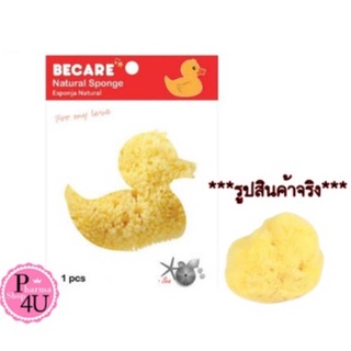 ลูกเจี๊ยบ Becare Natural Sponge ฟองน้ำอนามัย ฟองน้ำแท้จากธรรมชาติ 1ซอง/1ชิ้น