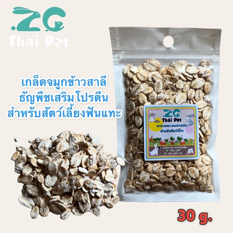 [B2-4] เกล็ดจมูกข้าวสาลี🌾 ธัญพืชเสริมโปรตีน ขนมเสริมวิตามิน อาหารเสริมสำหรับสัตว์เลี้ยงฟันแทะ