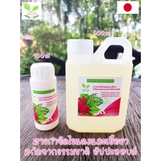 🌹สารกำจัดไรแดงและเชื้อรา สกัดจากธรรมชาติ ฮัปปะออยด์ นำเข้าจากญี่ปุ่น🌹