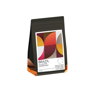 Brazil Fazenda Bau No.2 SC17/18 Pulped Natural - เมล็ดกาแฟคั่วกลาง