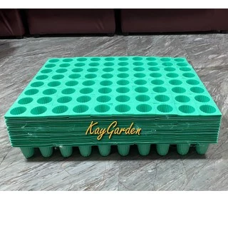 ถ้วยปลูกผักไฮโดรโปนิกส์ สีเขียว 80 หลุม ถาดเพาะเมล็ด รุ่นหนา เกรด A เกรดส่งออก แผงละ 80 หลุม (25แถม1, 50แถม3)