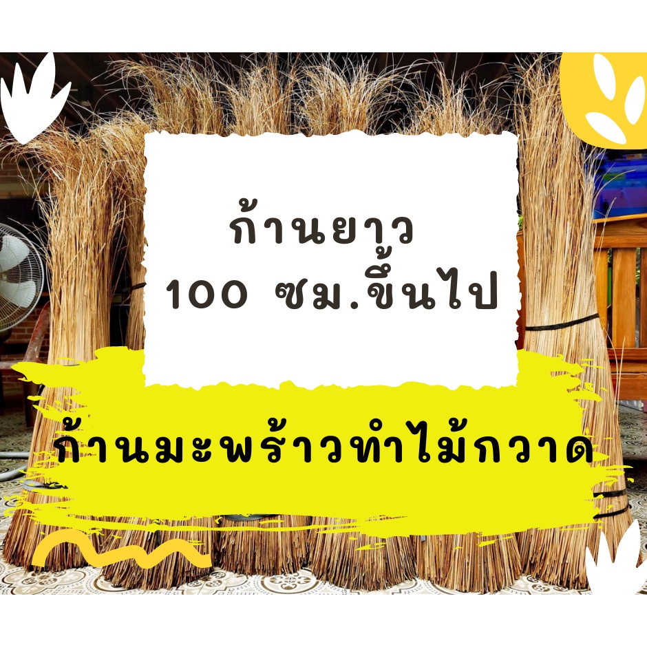 ก้านมะพร้าวแห้ง ก้านยาว 100 ซม ขึ้นไป ก้านมะพร้าวทำไม้กวาด นำไปทำบุญ ถวายวัด จักสานตระกร้า งานฝีมือ