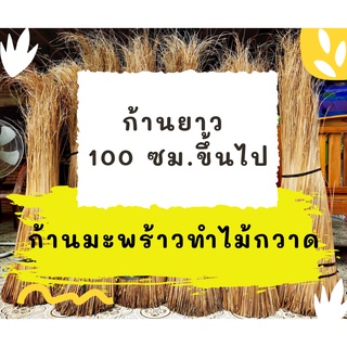 ก้านมะพร้าวแห้ง ก้านยาว 100 ซม ขึ้นไป ก้านมะพร้าวทำไม้กวาด นำไปทำบุญ ถวายวัด จักสานตระกร้า งานฝีมือ