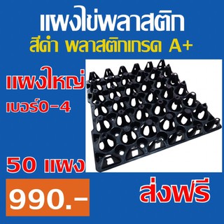 ถาดไข่ แผงไข่ พลาสติกสีดำ แผงใหญ่ 50 แผง เหนียว ทนทาน แข็งแรง