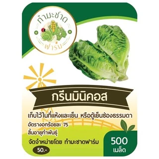 ทำมะชาดฟาร์ม (ซื้อ10แถม1) เมล็ดพันธุ์ กรีนมินิคอส ขนาด0.5กรัม ประมาณ500เมล็ด GREEN MINICOS ROMAINE LETTUCE เบบี้คอส