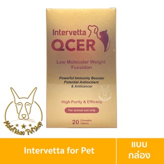 [MALETKHAO] Intervetta (อินเตอร์เว็ทต้า) Qcer แบบกล่อง เสริมภูมิคุ้มกันให้ร่างกาย สำหรับสุนัข ขนาด 20 เม็ด