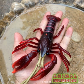 Animal Kingdom - โมเดลสัตว์ กุ้งเครฟิช แดง ขนาด 18.00 CM (จากสงขลา)