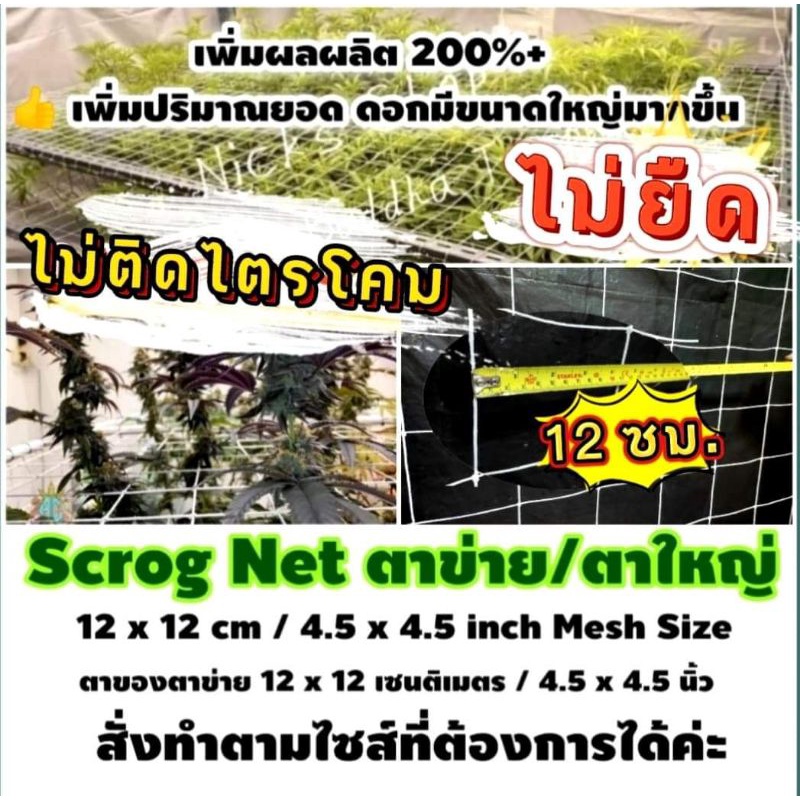 Scrog Net ตาข่ายปลูกพืช ปลูกต้นไม้ ตาใหญ่ 12 ซม./cm