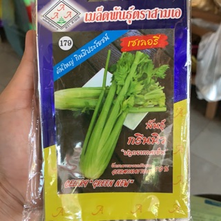 เมล็ดพันธุ์เซเลอรี่ พันธ์ุกรันนิวน้ำหนัก1กรัม