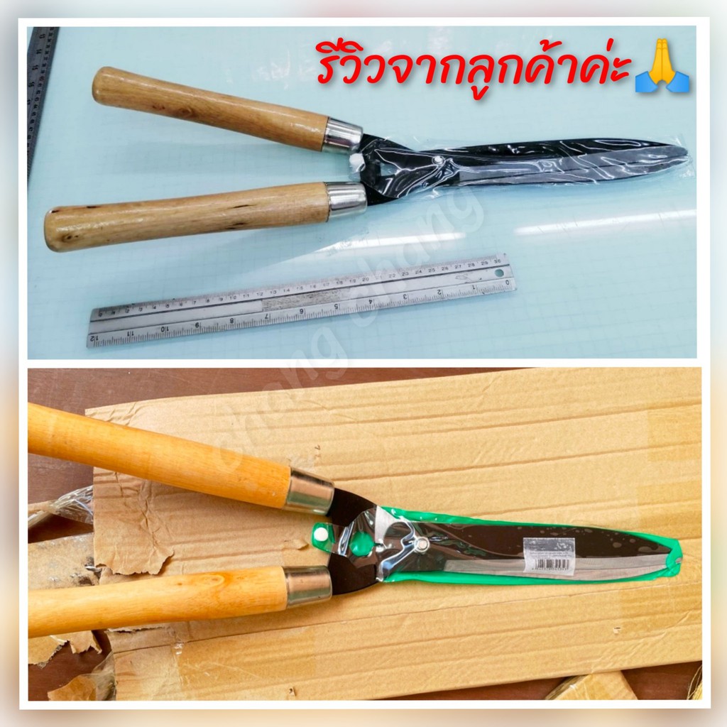กรรไกรตัดหญ้า ด้ามไม้ ขนาด 50 ซม. สินค้ามีตำหนินำมาลดราคา โปรดอ่านรายละเอียดก่อนสั่งซื้อค่ะ