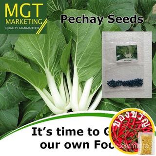 Pechay Vegetable Seeds (Black Behi)苹果/鲜花/种子/木瓜/玫瑰/手链/园艺/通心菜/上衣/向日葵/ XST6