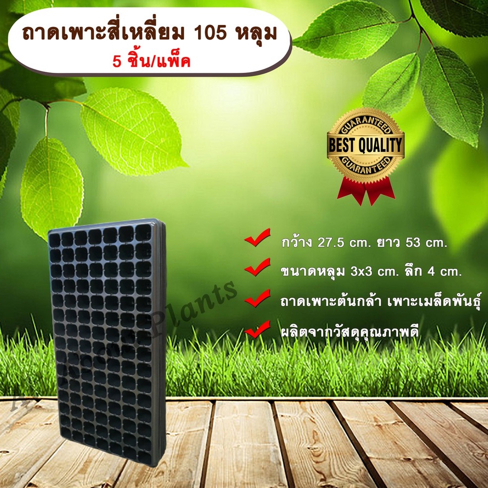 ถาดเพาะสี่เหลี่ยม 105 หลุม (5ชิ้น/แพ็ค) ถาดเพาะต้นกล้า ถาดเพาะเมล็ดพันธุ์ ขนาด 105 หลุม แบบสี่เหลี่ย