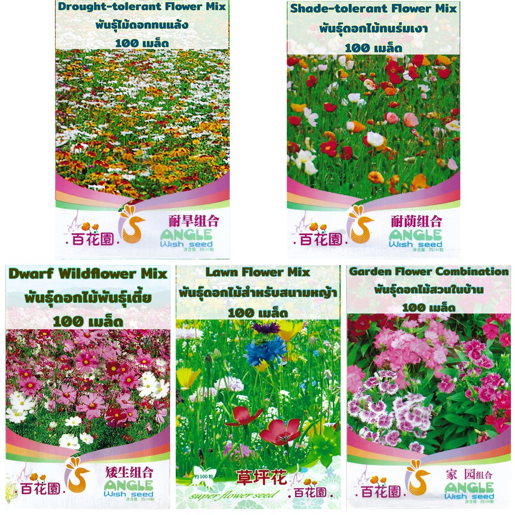 เมล็ดดอกไม้พันธุ์ผสม 100 - 300 เมล็ด Wildflower combination เมล็ดนำเข้า