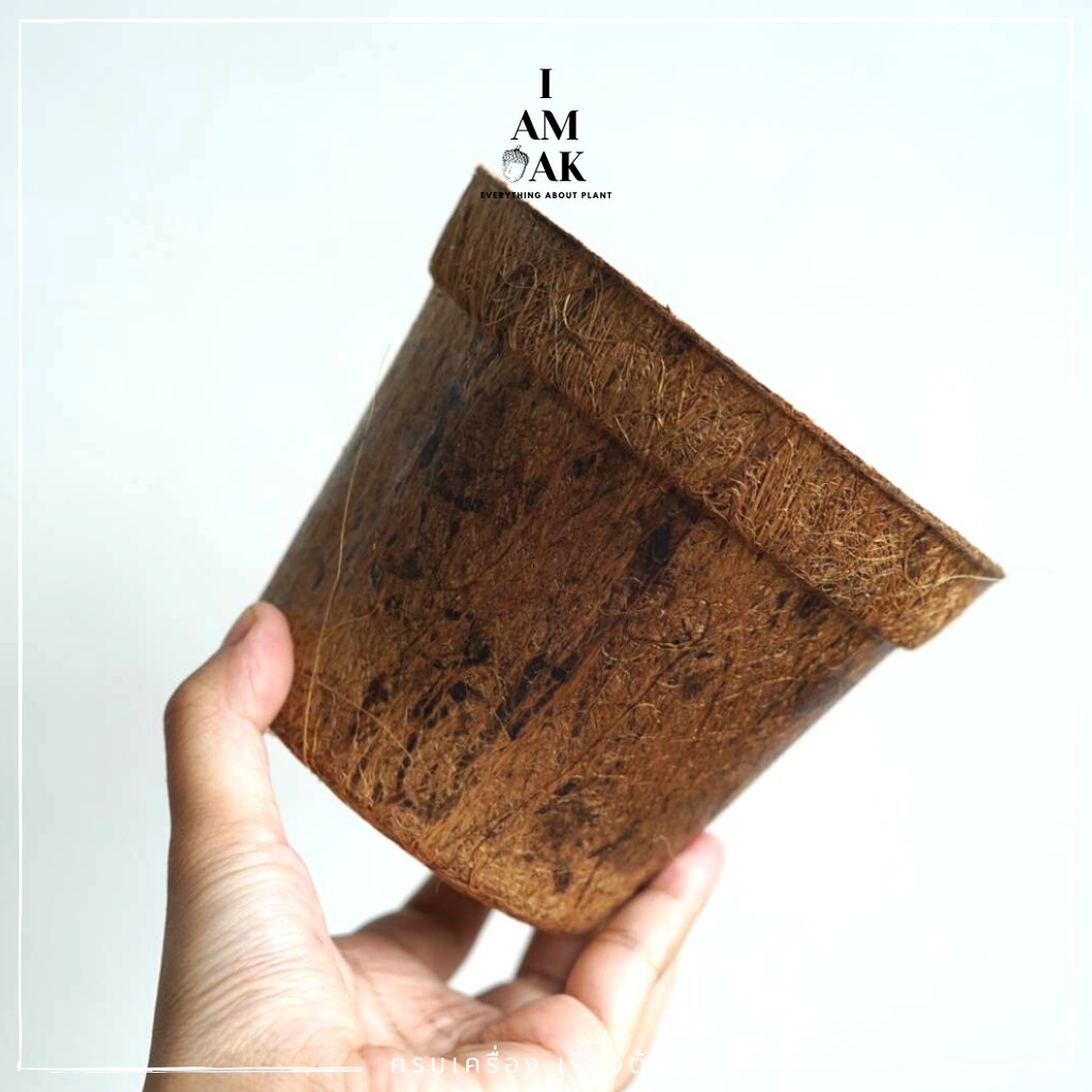 มุมมอง 2