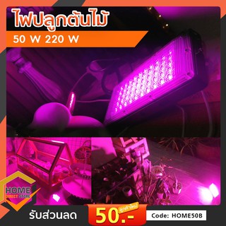 ไฟปลูกต้นไม้ ไฟช่วยต้นไม้ตัวเร็ว มีสวิตช์ปิดเปิด สายไฟยาว1.5เมตร 220V Full Spectrum LED Grow Light 50W/100W