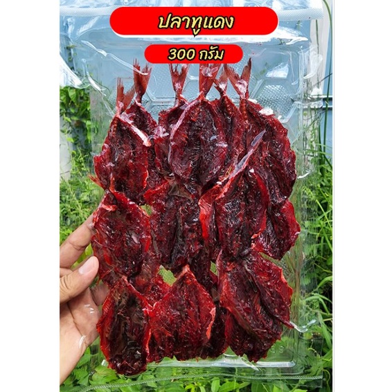 ปลาทูแดง 300 กรัม ปลาหวาน อร่อยทานง่าย ของใหม่ ปลาหวานสดใหม่ทุกวัน รับประกันความอร่อย ส่งตรงจากโรงงาน ปลาตัวใหญ ทอดหอม