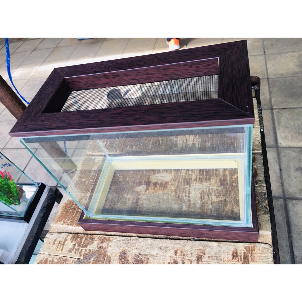 ตู้ปลากัด​ กรอบไม้​ สีโอ๊ค​ เกรดพรีเมี่ยม​ เรียบหรู​ ขนาด​ 4x8x6 นิ้ว กระจกหนา​ 4​ mm.