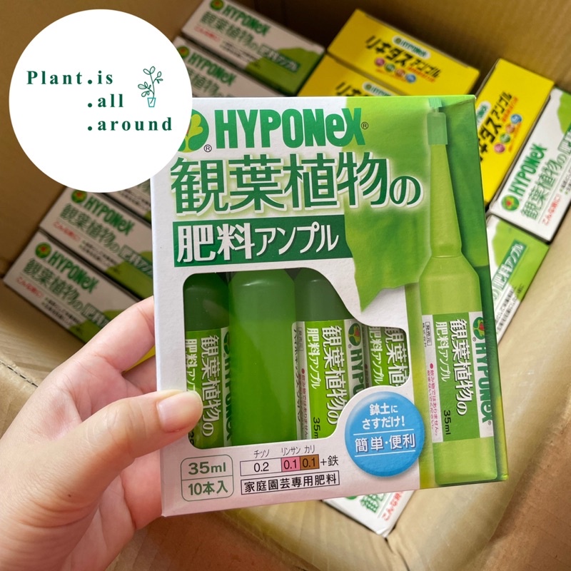 🍏ปุ๋ยปัก Hyponex Ampoule สีเขียวอ่อน