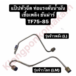 แป๊ปหัวฉีด ท่อแรงดันน้ำมันเชื้อเพลิง ยันม่าร์ TF75 TF85 L,LM (จ้าวโลก/จ้าวพลัง)