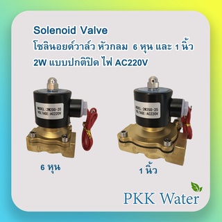 SOLENOID VALVE โซลินอยด์วาล์วทองเหลือง หัวกลม AC220 V