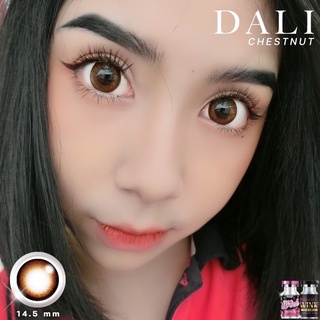 Dali Brown (2) Wink Lens บิ๊กอาย สีน้ำตาล ขอบช็อคโก้ คอนแทคเลนส์ Bigeyes Contact Lens ค่าสายตา สายตาปกติ สายตาสั้น Tiara