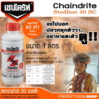 CHAINDRITE เชนไดร้ท์ สเตดฟาส 30 เอสซี ผลิตภัณฑ์กำจัดปลวก ชนิดผสมน้ำราดพื้น ขนาด 1000 cc. (1 ลิตร)