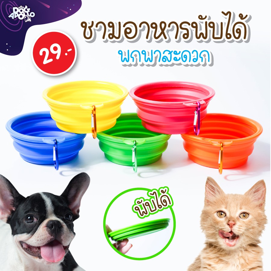 ชามข้าวสัตว์เลี้ยง ชามสุนัขพกพา ถ้วยอาหารพับได้ ชามซิลิโคน อุปกรณ์การให้อาหารสัตว์เลี้ยง