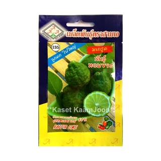 เมล็ดพันธุ์ ซอง ผักพื้นบ้าน ผักสวนครัว รั้วกินได้ ตองสาม 333 สามเอ AAA ผักบุ้งนาแดง มะกรูด สะระแหน่ ตำลึง ดอกแค ใบบัวบกฯ