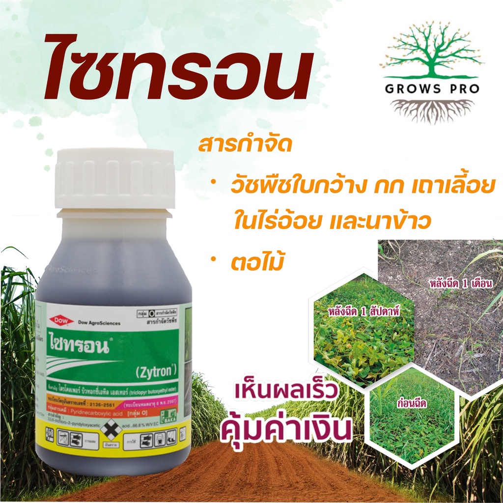 GrowsPro ไซทรอน 250 cc. สารไตรโคลเพอร์ สารกำจัดวัชพืชใบกว้าง กก เถา ตอไม้