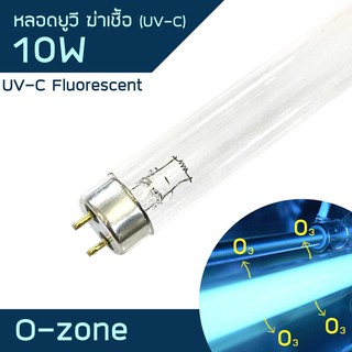 หลอดนีออน UVC 10W ฆ่าเชื้อโรค กำจัดกลิ่นต่างๆ （ozone）