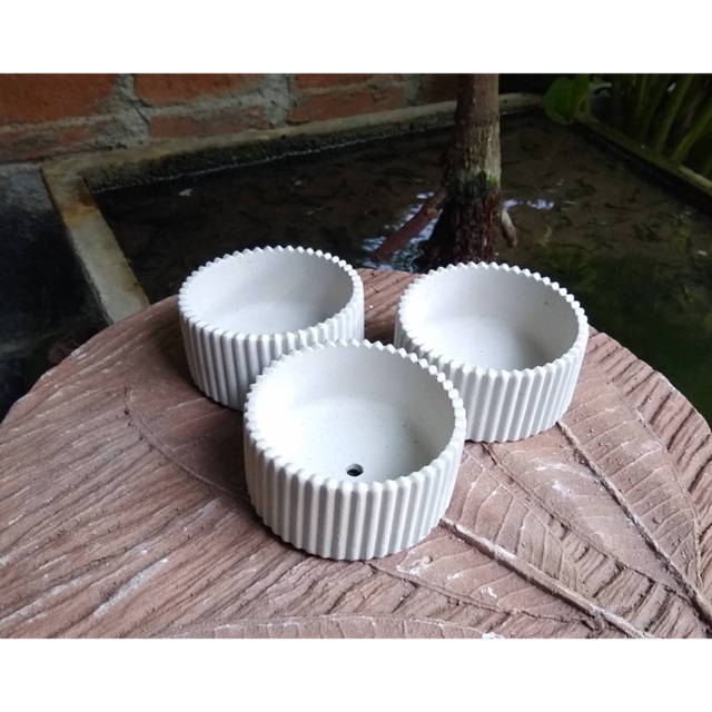 กระถางปูนเปลือย ปลูกแคคตัส ทรงกลมแบบหยัก