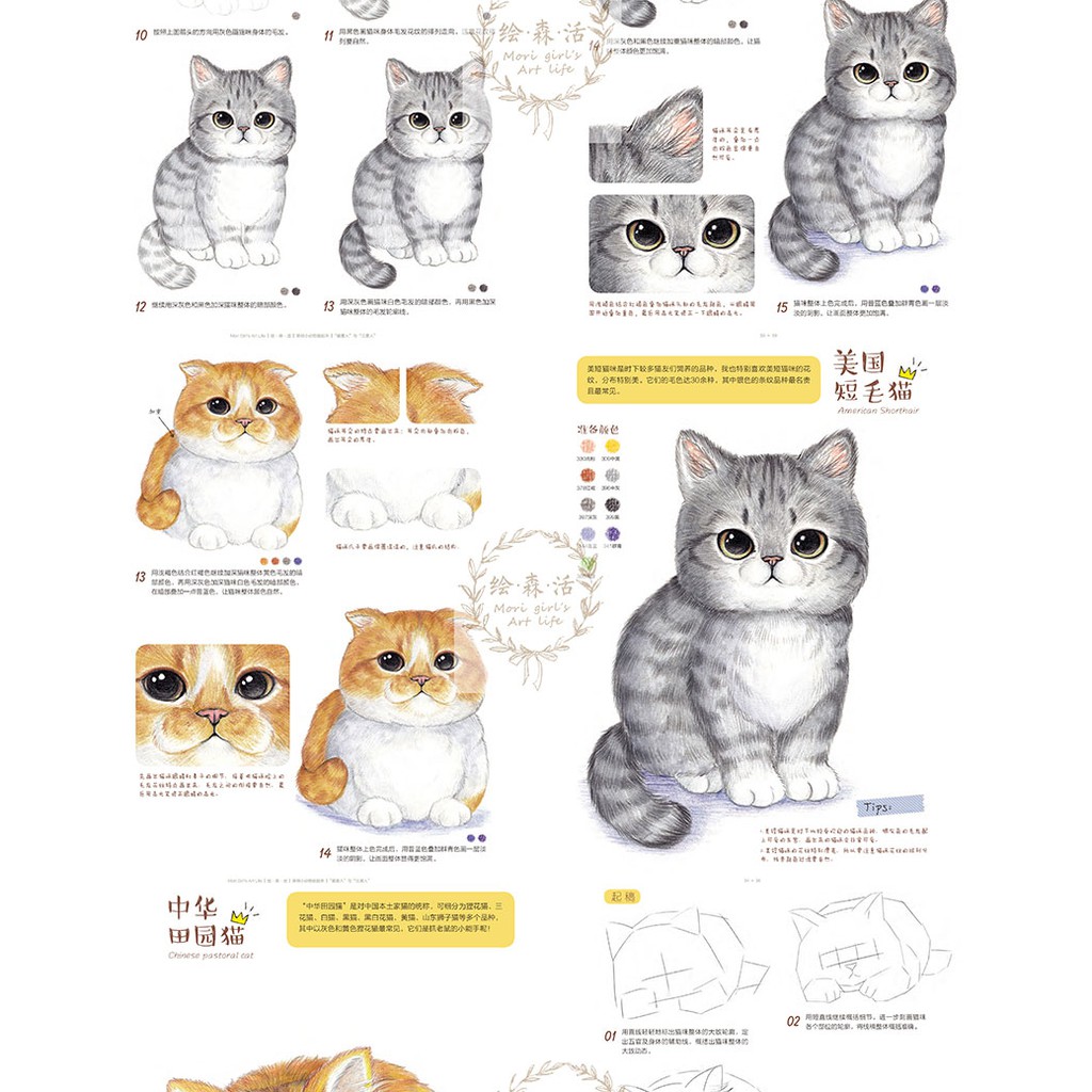 หนังสือสอนวาดรูประบายสีไม้ รูปหมาแมวแนวน่ารัก Cat & Dog Too Cute To Be Real  (เล่ม1) | Shopee Thailand