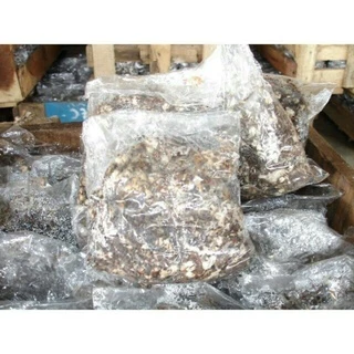 เชื้อเห็ดฟาง อีแปะอีหยิบ ขั้นต่ำ 10 ถุง(พร้อมจัดส่ง)