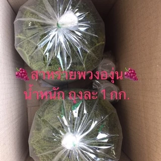 #กรีนคาเวียร์ #สาหร่ายพวงองุ่น #องุ่นทะเล