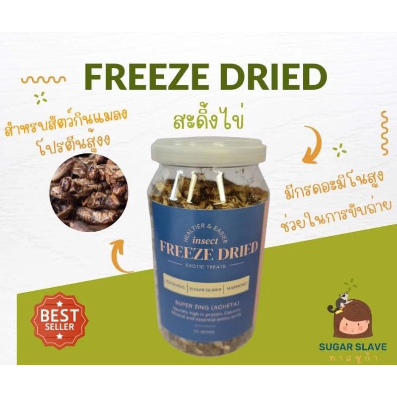 ซุปเปอร์ซิ่งสะดิ้งฟรีซดราย Super Zing Freeze Dried Cricket Acheta สำหรับสัตว์กินแมลง ชูก้า กระรอก เม่นแคระลิงมาโมเสท