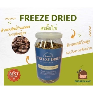 ซุปเปอร์ซิ่งสะดิ้งฟรีซดราย Super Zing Freeze Dried Cricket Acheta สำหรับสัตว์กินแมลง ชูก้า กระรอก เม่นแคระลิงมาโมเสท