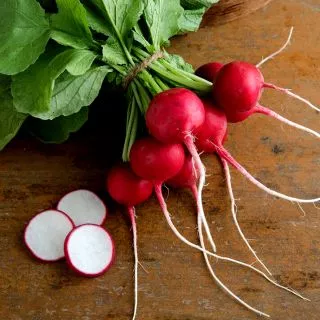 200 เมล็ด เมล็ด​พันธุ์​ แรดิชเชอร์รี่​เบล​ Radish​ เมล็ดพันธุ์แรดิช
