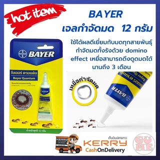 BAYER เจลกำจัดมด 12 กรัม เจลของเหลวข้นใส ใช้ได้ผลดีเยี่ยมกับมดทุกสายพันธุ์ กำจัดมดทั้งรังด้วย domino effect