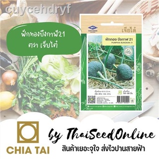 เมล็ดพันธุ์ ฟักทองบึงกาฬ 21 20 เมล็ด ตราเจียไต๋ ฟักทองอ่อน
