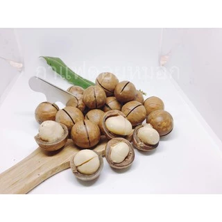 อบใหม่macadamia แมคคาเดเมีย มะคาเดเมีย ไทยแท้ เกรด A