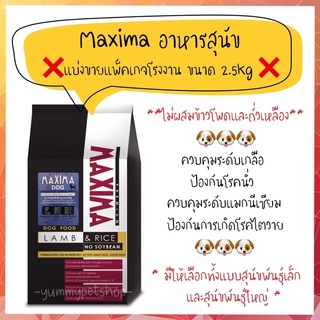 Maxima อาหารสุนัข สูตรควบคุมระดับเกลือ ขนาด 2.5 กิโลกรัม