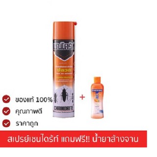 เชนไดร้ท์ สเปรย์ป้องกันและกำจัด ปลวก มด แมลงสาบ Chaindrite สเปรย์กำจัดปลวก 600 มล. (แถมฟรี น้ำยาล้างจาน)